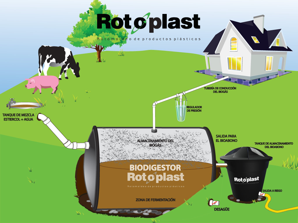 Infografía Rotoplast